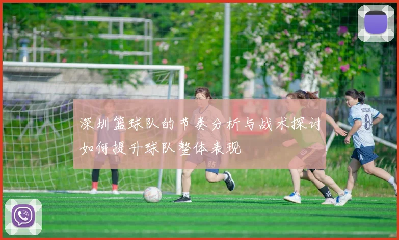 深圳篮球队的节奏分析与战术探讨如何提升球队整体表现