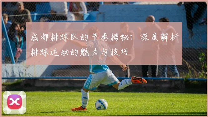 成都排球队的节奏揭秘：深度解析排球运动的魅力与技巧