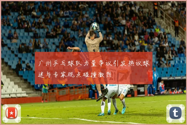 广州乒乓球队力量争议引发热议球迷与专家观点碰撞激烈